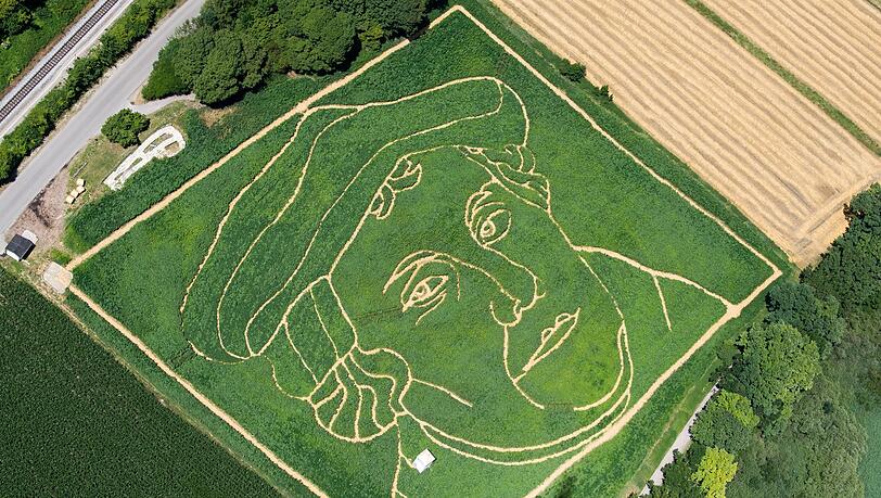 Luther in einem bayerischen Maisfeld - ansonsten ist Bayern überwiegend katholisch. (Symbolbild) Luther in einem bayerischen Maisfeld - ansonsten ist Bayern überwiegend katholisch. (Symbolbild)