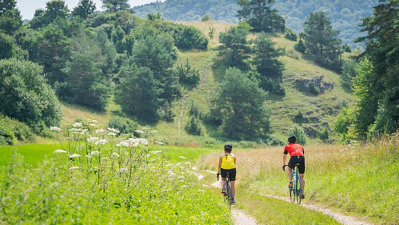 Der Naturpark Altm&uuml;hltal bietet wunderbare Radlrouten &ndash; auch unbefestigte, f&uuml;r Gravelbiker.