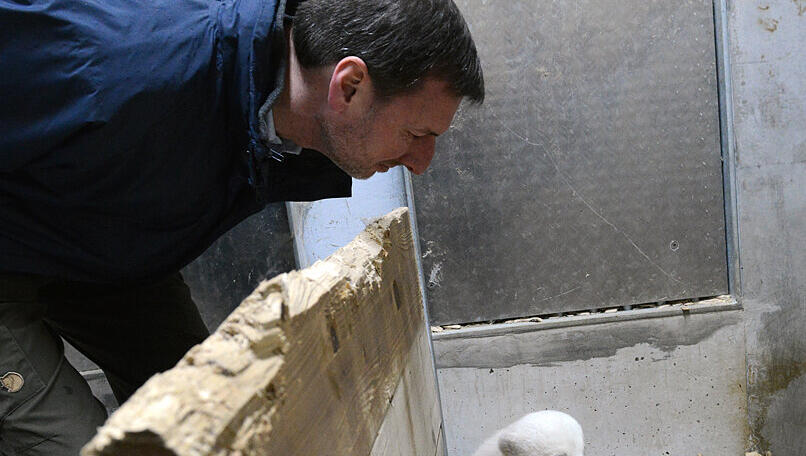Tierparkchef Knieriem macht "Guckguck" bei den Eisbären-Geschwistern. Tierparkchef Knieriem macht "Guckguck" bei den Eisbären-Geschwistern.
