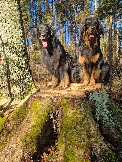 Pippa und Vroni sind ein Dream-Team