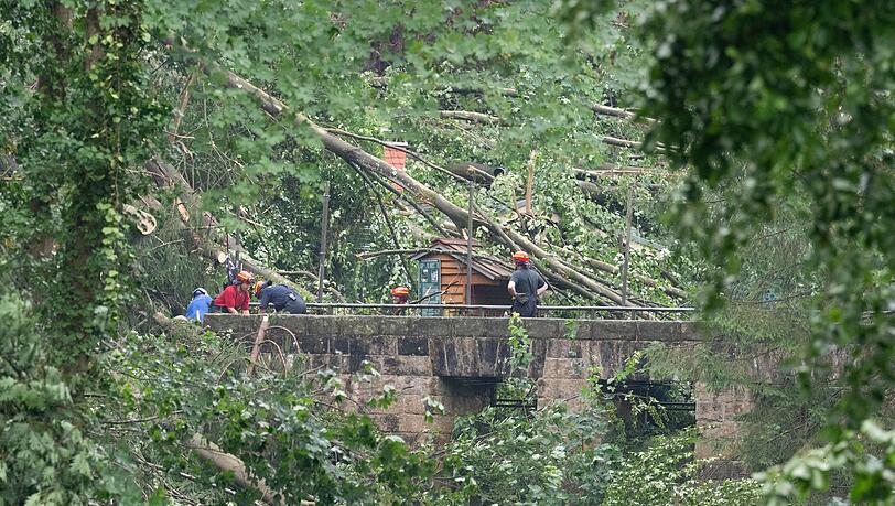 Bei einem Unwetter stürzten zalhreiche Bäume um. Bei einem Unwetter stürzten zalhreiche Bäume um.