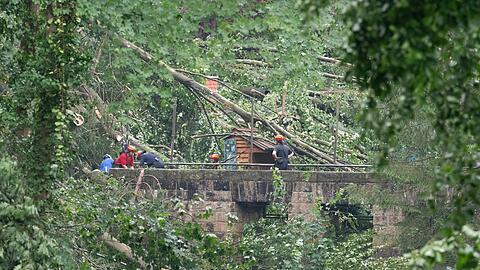 Bei einem Unwetter st&uuml;rzten zalhreiche B&auml;ume um.