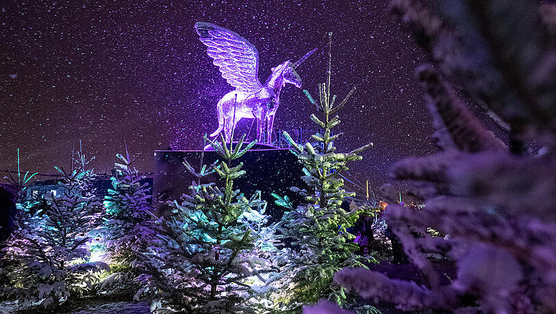 Glitzernde Kunst: Torsten Mühlbach gestaltet in diesem Winter neben dem Pegasus eine riesige Friedenstaube aus tausend Spiegeln. Glitzernde Kunst: Torsten Mühlbach gestaltet in diesem Winter neben dem Pegasus eine riesige Friedenstaube aus tausend Spiegeln.