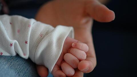 Die Hand eines zwei Wochen altes Neugeborenen liegt in der Hand seiner Mutter. Foto: Sebastian Gollnow/dpa/Archivbild