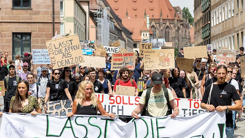 Die Aufregung ist groß, seitdem der Tiergarten im Februar 2024 angekündigt hat, einige seiner Guinea-Paviane aus Platzmangel töten zu wollen.