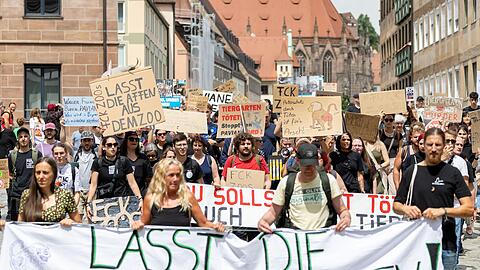 Die Aufregung ist groß, seitdem der Tiergarten im Februar 2024 angekündigt hat, einige seiner Guinea-Paviane aus Platzmangel töten zu wollen.
