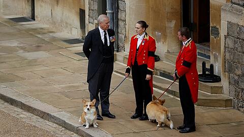 Die Corgis Muick und Sandy lebten nach dem Tod der Queen bei Andrew und Sarah Ferguson in der Royal Lodge.