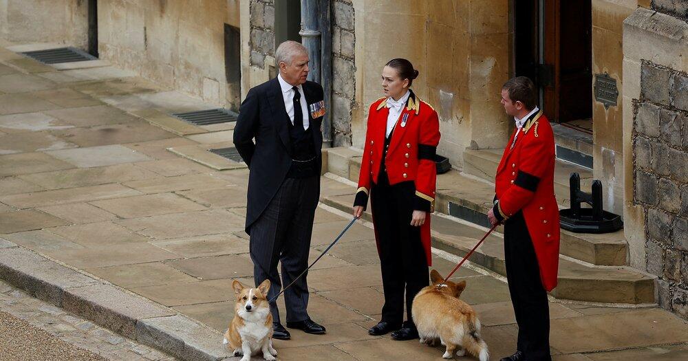 Nach-Andrew-und-Fergies-Auszug-Wo-leben-die-Corgis-der-Queen-jetzt-
