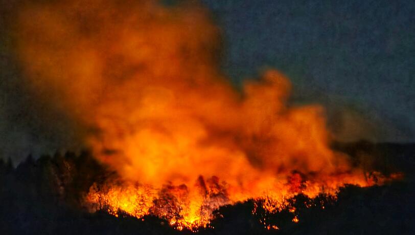 In der Nacht brannte es lichterloh in dem Waldgebiet in Rheinland-Pfalz.