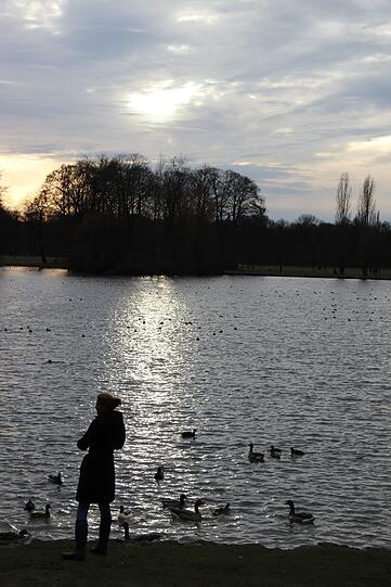 Abendliche Idylle an der Isar.