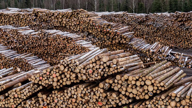 Konkursverschleppung steht als möglicher Straftatbestand im Raum. (Symbolbld) Konkursverschleppung steht als möglicher Straftatbestand im Raum. (Symbolbld)
