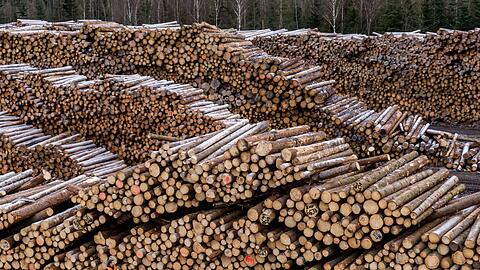 Konkursverschleppung steht als möglicher Straftatbestand im Raum. (Symbolbld)