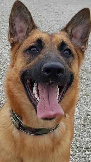 Leika