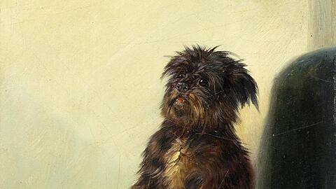 Die Reproduktion zeigt das Bild "Lieblingshund König Ludwigs I.", gemalt in München um 1850. Foto: Bastian Krack/Bayerisches Nationalmuseum/dpa