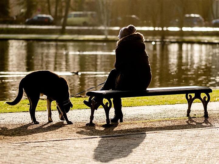 Sonniges Celle: Eine Frau entspannt sich im Französischen Garten.