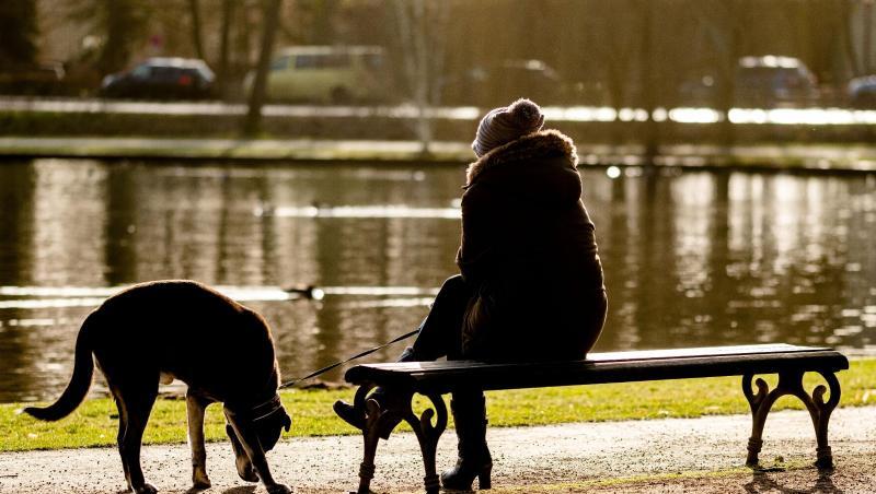 Sonniges Celle: Eine Frau entspannt sich im Französischen Garten. Sonniges Celle: Eine Frau entspannt sich im Französischen Garten.