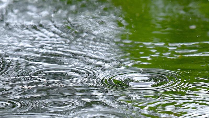 Regentropfen treffen auf die Wasseroberfläche eines Gartenteiches. Foto: Caroline Seidel/dpa/Archivbild Regentropfen treffen auf die Wasseroberfläche eines Gartenteiches. Foto: Caroline Seidel/dpa/Archivbild