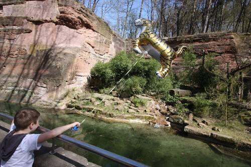 Patrick (7) hat ein bisschen Pech: Die Löwen haben sich verkrochen. Doch Patricks Mutter hat einen Ersatz gefunden. Einen Tiger, den er an der Leine halten kann &ndash; und fliegen kann der auch noch.