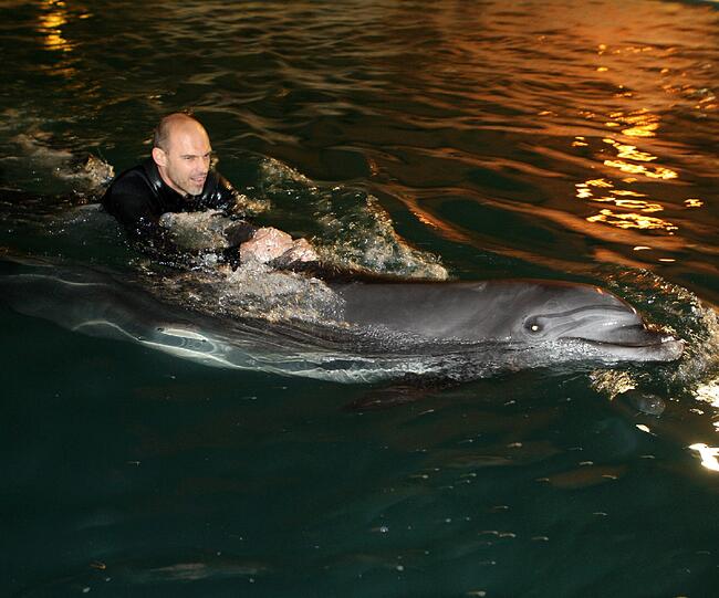 Für die Löwen ging's am Mittwoch noch tierisch zu: Im Delfinarium durften sie mit Flipper & Co. eine Runde schwimmen.