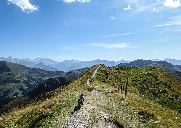 Was für ein Alpenpanorama: ein Wanderweg bei Saalbach in den Salzburger Bergen. Was für ein Alpenpanorama: ein Wanderweg bei Saalbach in den Salzburger Bergen.