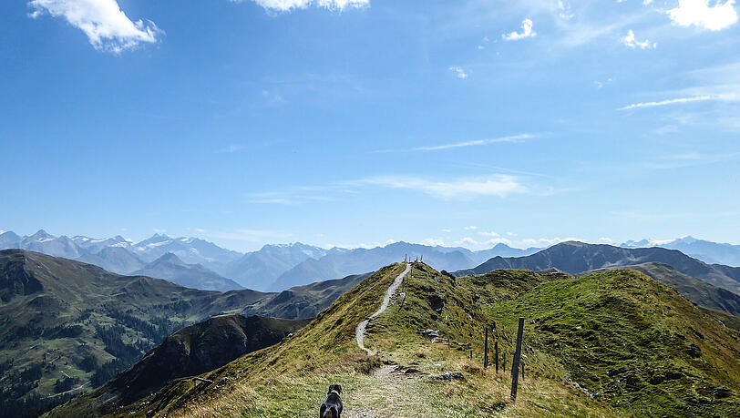Was für ein Alpenpanorama: ein Wanderweg bei Saalbach in den Salzburger Bergen. Was für ein Alpenpanorama: ein Wanderweg bei Saalbach in den Salzburger Bergen.