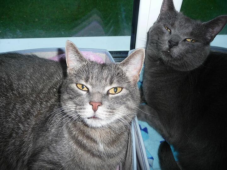 Leo und Lilli
