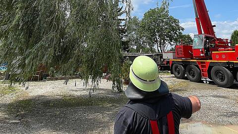 Langsam wurde der Ast angehoben, sodass er schließlich mit einer Motorsäge abgetrennt werden und der Kranführer den 500 Kilogramm schweren Ast auf einer Freifläche ablegen konnte.