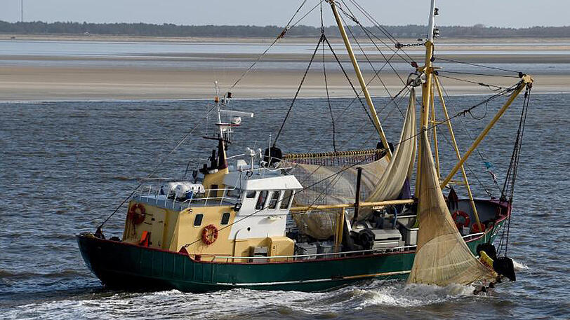 Sollte Großbritannien seinen Anspruch auf die halbe Nordsee vollständig durchsetzen, müssten deutsche Fischer auf 50 Prozent der gesamtdeutschen Fangmenge verzichten.