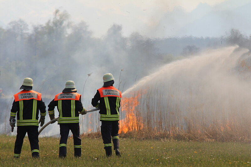 Mit einer Löschkette kämpften ein Feuerwehrmänner gegen die Feuerwalze, die sich durch das Schilf fraß.