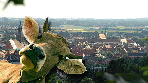 Im Landkreis Amberg flüchtete eine Kuh vor dem Metzger. (Symbolbild) Im Landkreis Amberg flüchtete eine Kuh vor dem Metzger. (Symbolbild)