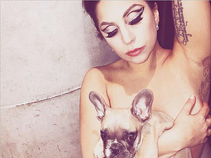 Wer hätte das gedacht: Lady Gaga (29) ist ein großer Fan des Dichters Rainer Maria Rilke und hat sich deswegen eines seiner Zitate auf den linken Oberarm stechen lassen.