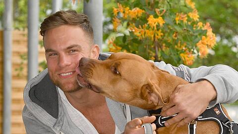 Sebastian Preuss zur AZ: "Das hier ist mein Patenhund Chopper, der erfolgreich vermittelt wurde und ab nächster Woche ein neues Zuhause hat."