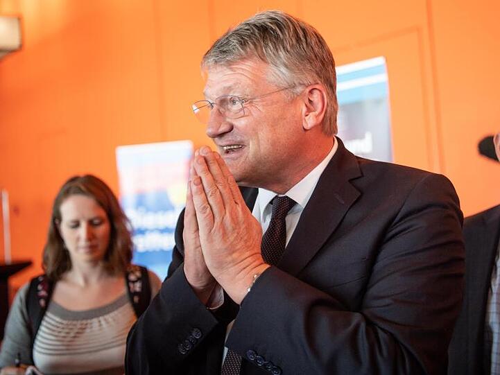 Die AfD muss wegen illegaler Spenden unter anderem an Parteichef Jörg Meuthen 400.000 Euro Strafe zahlen.