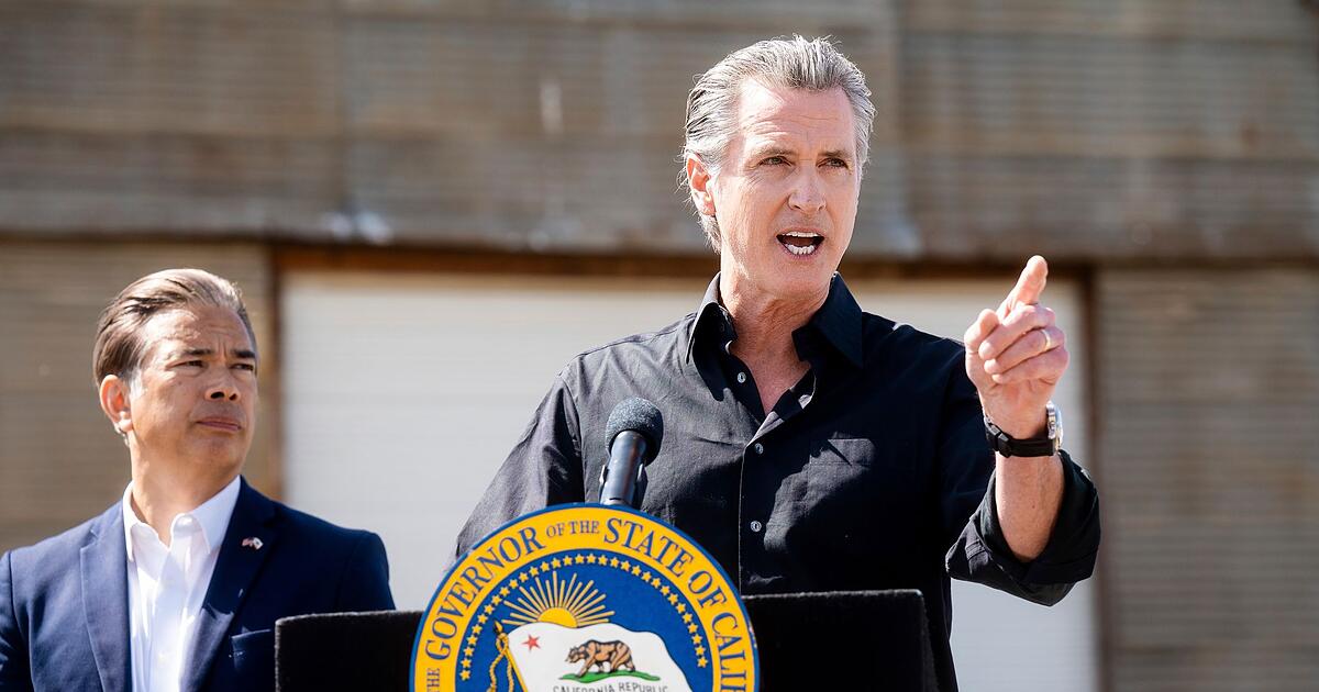 Nach-Kritik-an-ICE-Razzien-Kalifornien-startet-Meldeportal