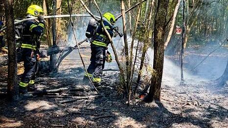 Einsatzkr&auml;fte der Freiwillige Feuerwehr Unterhaching bek&auml;mpfen am Freitag den Waldbrand.