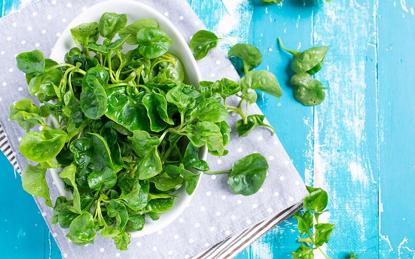 Obst essen ist definitiv immer eine gute Idee. Noch gesünder ist allerdings Gemüse. Die Überraschung verbirgt sich auf dem ersten Platz: Das gesündeste Lebensmittel überhaupt ist die Brunnenkresse. Die unscheinbare Heilpflanze erreicht in der Studie auf 100 Kalorien 100 Prozent der empfohlenen Tagesdosis der 17 Nährstoffe. Obst essen ist definitiv immer eine gute Idee. Noch gesünder ist allerdings Gemüse. Die Überraschung verbirgt sich auf dem ersten Platz: Das gesündeste Lebensmittel überhaupt ist die Brunnenkresse. Die unscheinbare Heilpflanze erreicht in der Studie auf 100 Kalorien 100 Prozent der empfohlenen Tagesdosis der 17 Nährstoffe.