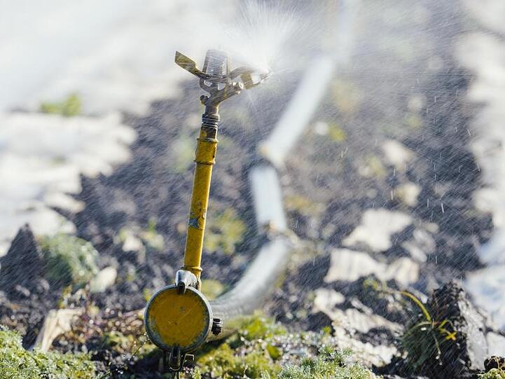 Eine Bewässerungsanlage versprüht auf einem Feld im rheinland-pfälzischen Lambsheim Wasser. Es ist zu trocken in Deutschland. Allerdings soll es bald regnen.