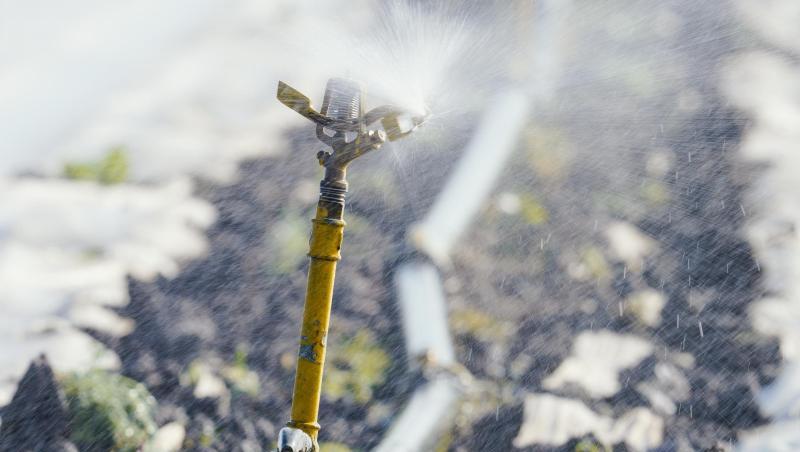 Eine Bewässerungsanlage versprüht auf einem Feld im rheinland-pfälzischen Lambsheim Wasser. Es ist zu trocken in Deutschland. Allerdings soll es bald regnen. Eine Bewässerungsanlage versprüht auf einem Feld im rheinland-pfälzischen Lambsheim Wasser. Es ist zu trocken in Deutschland. Allerdings soll es bald regnen.