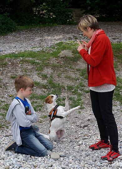 Merh Bilder vom Zamperl-Casting am Flaucher.