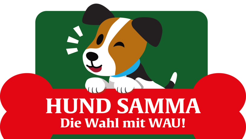 Hunde-Halsband Hunde Verhalten Halsband Mit 2600ft Reichweite - Wasserdichtes Trainingsgerät Für Hundeerziehung Interaktives Hundespielzeug