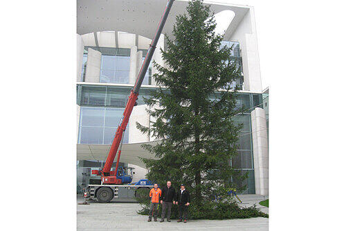 Walter Nussel (Mitte) und seine Helfer lieferten heuer den riesigen Weihnachtsbaum für Kanzlerin Angela Merkel.