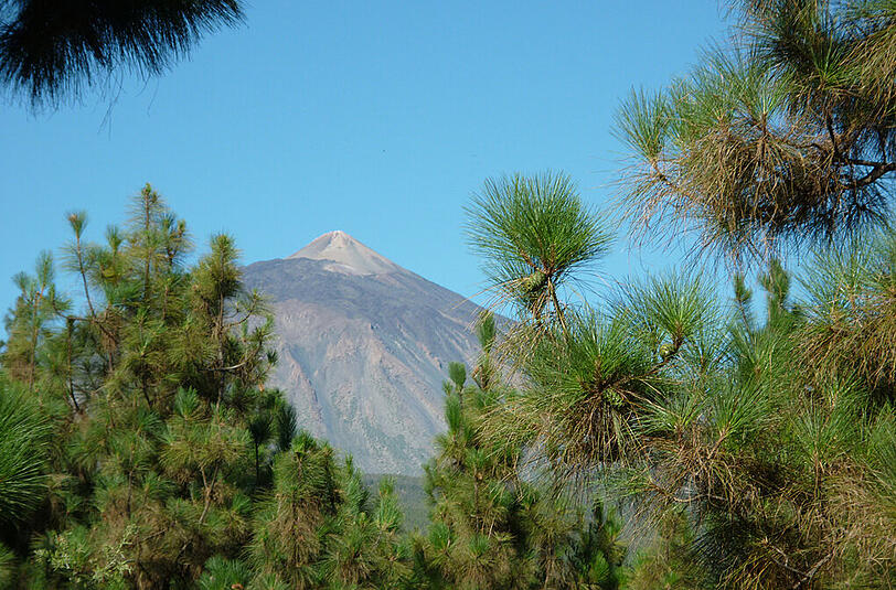 Majestätische Erscheinung: El Teide, Spaniens höchster Berg, steht auf Teneriffa.