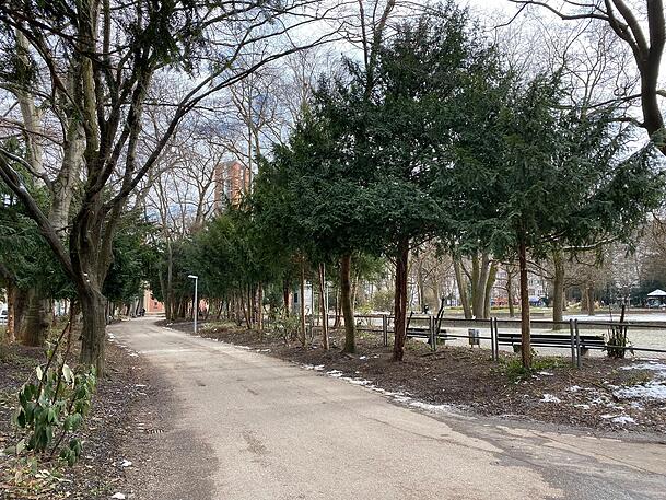 Im Nußbaumpark beim Sendlinger Tor bleiben nach umfassenden Maßnahmen der Stadt fast nur noch Bäume übrig. Im Nußbaumpark beim Sendlinger Tor bleiben nach umfassenden Maßnahmen der Stadt fast nur noch Bäume übrig.