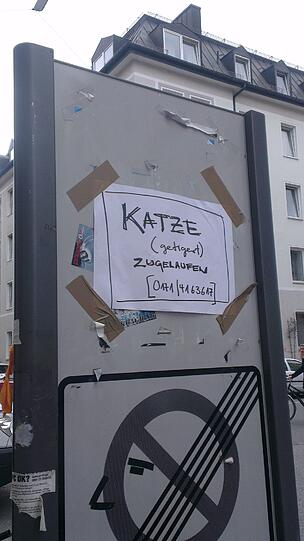 Mit diesem Zettel wird in Haidhausen ein Katzenbesitzer gesucht.