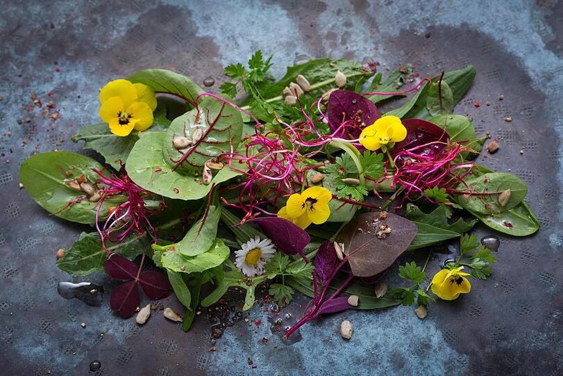 Viel Liebe im Detail: Salatteller im Restaurant des Biohotels Schlossgut Oberambach