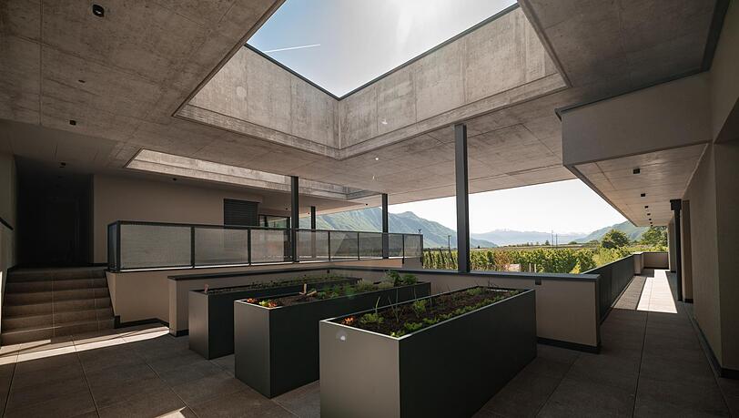 Minimalistisches Design mit Hochbeeten, in denen Gem&uuml;se f&uuml;r die G&auml;ste w&auml;chst.