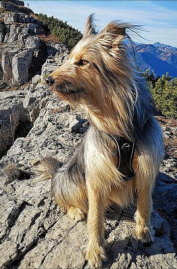 Charlie