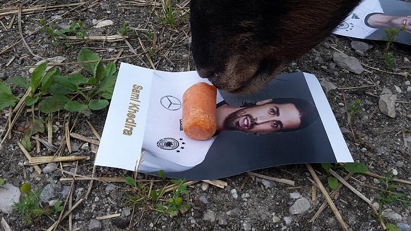 ... und Sami Khedira.