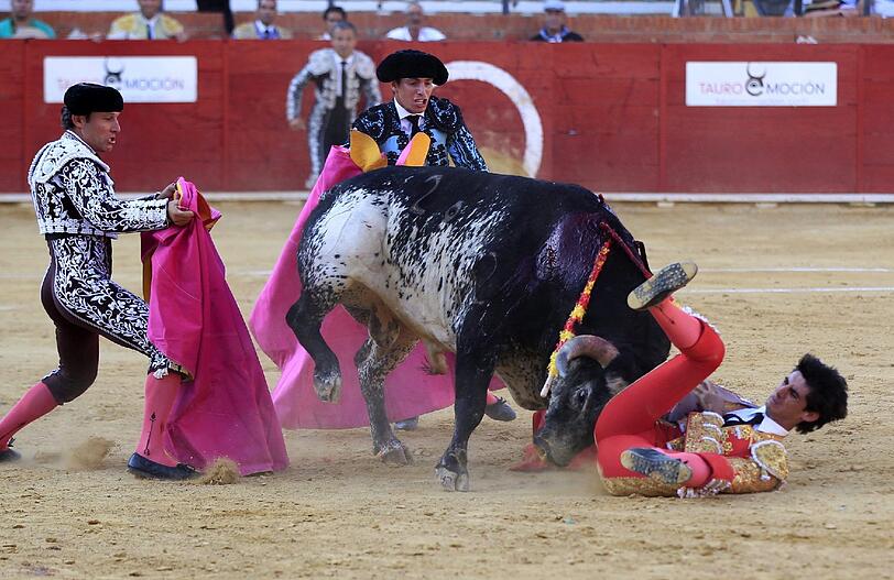 Zuletzt waren in den Jahren 1984 und 1985 zwei Toreros in spanischen Arenen von Kampfstieren getötet worden.