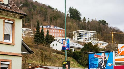 Markus Frohnmaier (AfD) will Ministerpr&auml;sident werden.